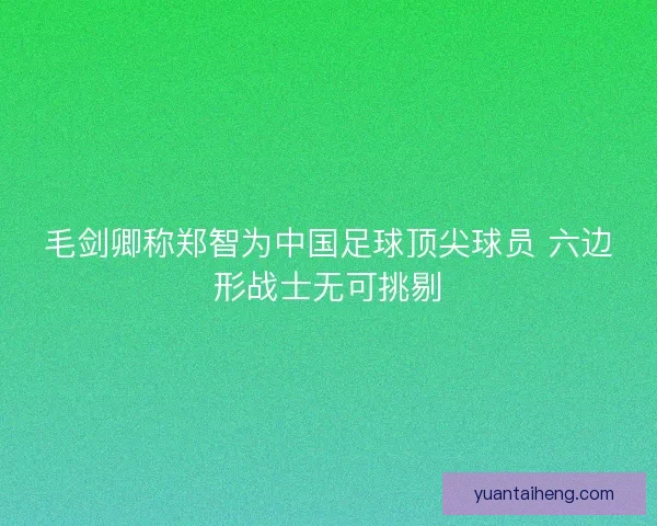 毛剑卿称郑智为中国足球顶尖球员 六边形战士无可挑剔